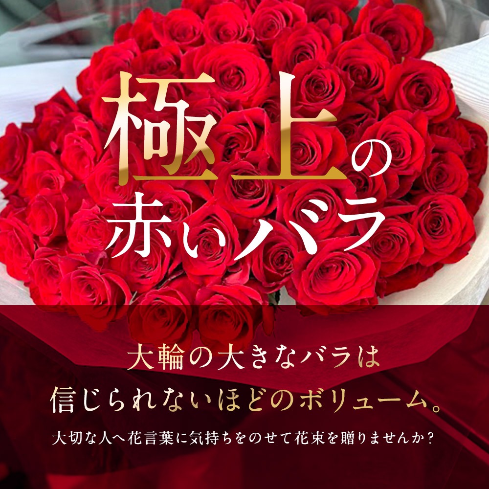 プレミアムローズ 【本数指定】 価格は1本単価 送料別 5本以上で送料無料 特別な赤バラ 大輪 合計108本まで限定 5日後から出荷対応 土日も出荷 ホワイトデー 卒業式 入学 プレゼント 生花 お祝い ギフト 税込 還暦 プロポーズ