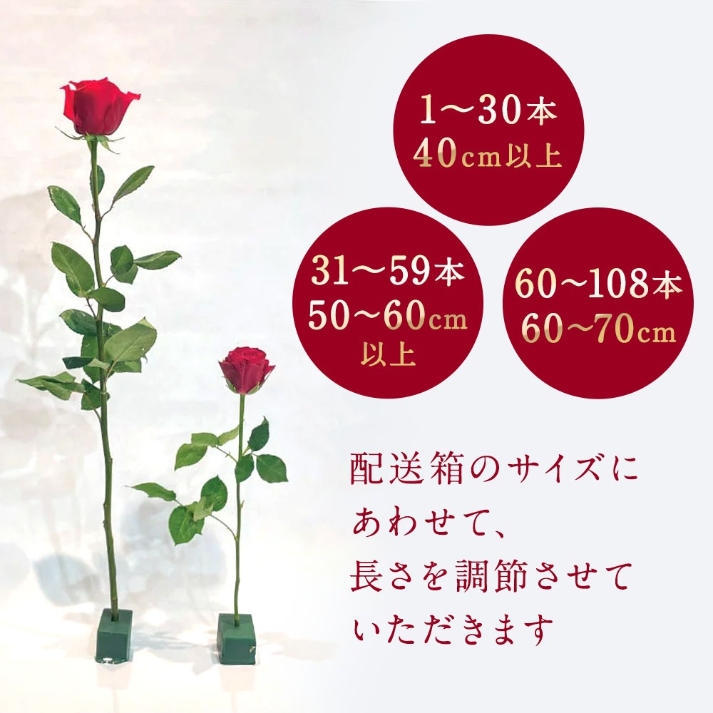 プレミアムローズ 【本数指定】 価格は1本単価 送料別 5本以上で送料無料 特別な赤バラ 大輪 合計108本まで限定 5日後から出荷対応 土日も出荷 ホワイトデー 卒業式 入学 プレゼント 生花 お祝い ギフト 税込 還暦 プロポーズ