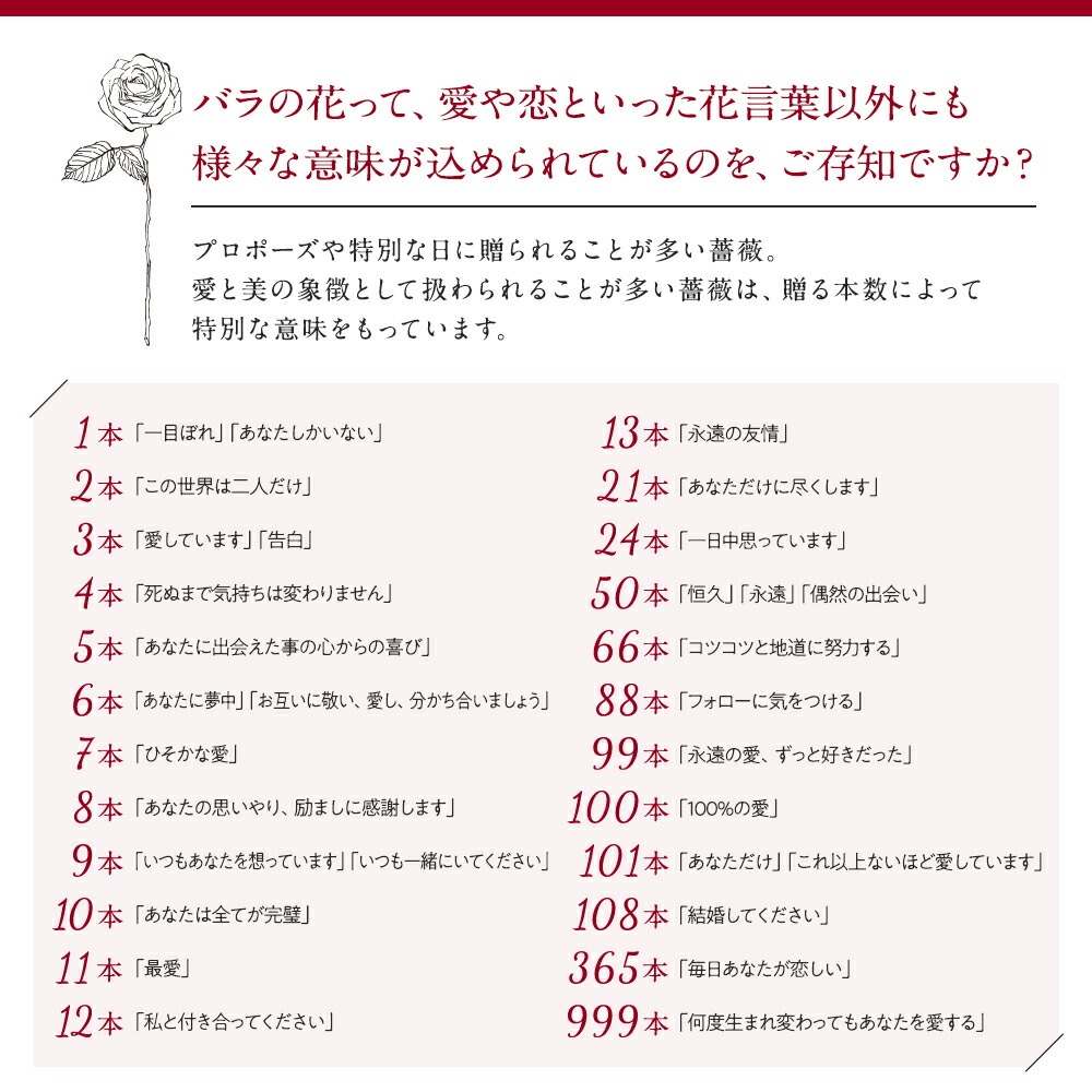プレミアムローズ 【本数指定】 価格は1本単価 送料別 5本以上で送料無料 特別な赤バラ 大輪 合計108本まで限定 5日後から出荷対応 土日も出荷 ホワイトデー 卒業式 入学 プレゼント 生花 お祝い ギフト 税込 還暦 プロポーズ