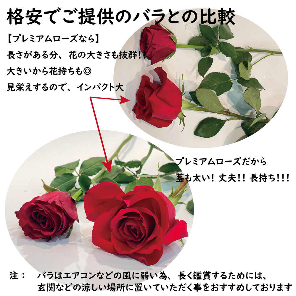 超高品質 プレミアムローズ 10本 特別な赤バラ 大輪 赤薔薇 花束 5日後から出荷対応 土日も出荷 プレゼント 生花 お祝い ギフト 税込 還暦 プロポーズ 妻 奥さん 嫁 母 ママ 恋人 クール便選択可能