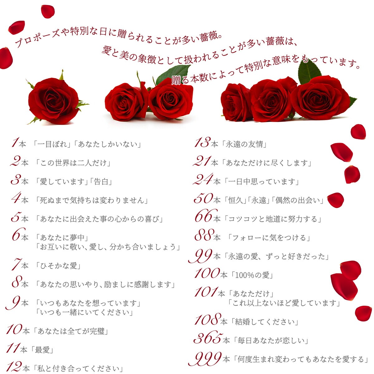 超高品質 プレミアムローズ 10本 特別な赤バラ 大輪 赤薔薇 花束 5日後から出荷対応 土日も出荷 プレゼント 生花 お祝い ギフト 税込 還暦 プロポーズ 妻 奥さん 嫁 母 ママ 恋人 クール便選択可能