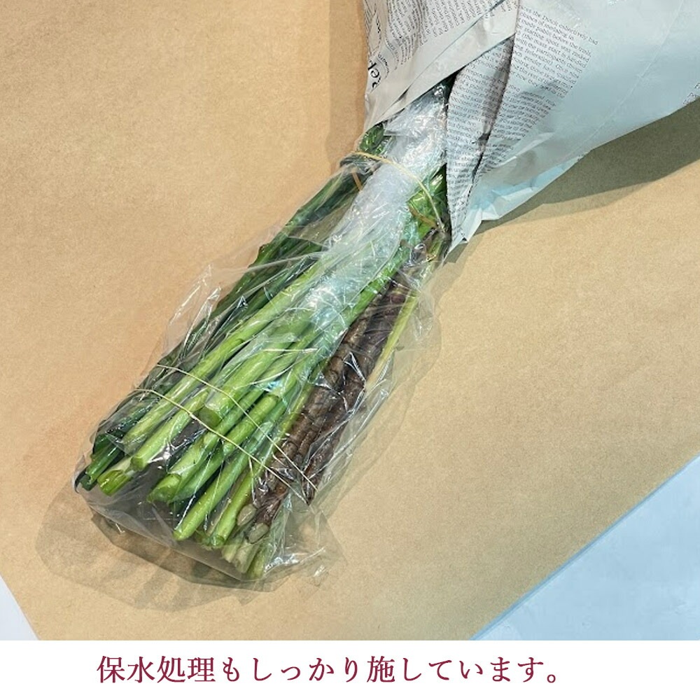 花 切り花の福袋 季節のお花を5種類以上 本数50本以上 花丈 草丈 45cm 葉もの グリーンを添えて マルシェ花束 送料無料 送料込み ナチュラル 生花 ギフト プレゼント 誕生日 お祝い 記念日 ホワイトデー 卒業式 入学 クール便選択可能