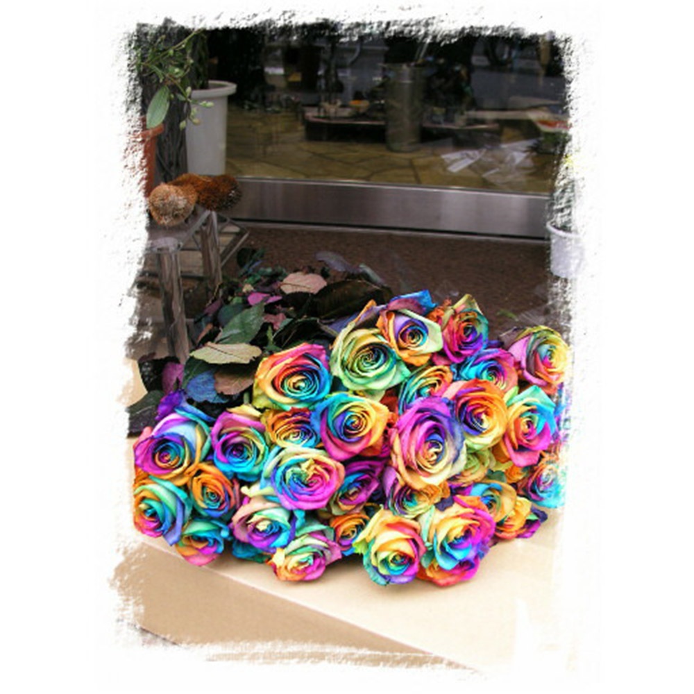 レインボーローズ 虹色のバラ 1本よりご注文 送料別 4本以上で送料無料 花束 生花 バラ 虹薔薇 花束 41 60 108本 選べる本数 ホワイトデー 卒業式 入学 プレゼント ギフト 誕生日 結婚 記念日 お祝い 還暦 在庫本数によりお手配できない場合あり
