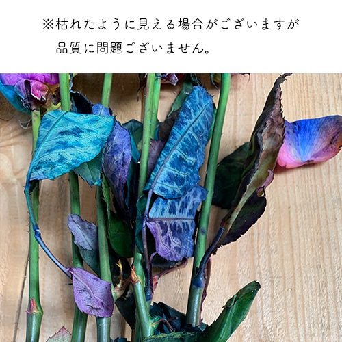 レインボーローズ 虹色のバラ 1本よりご注文 送料別 4本以上で送料無料 花束 生花 バラ 虹薔薇 花束 41 60 108本 選べる本数 ホワイトデー 卒業式 入学 プレゼント ギフト 誕生日 結婚 記念日 お祝い 還暦 在庫本数によりお手配できない場合あり