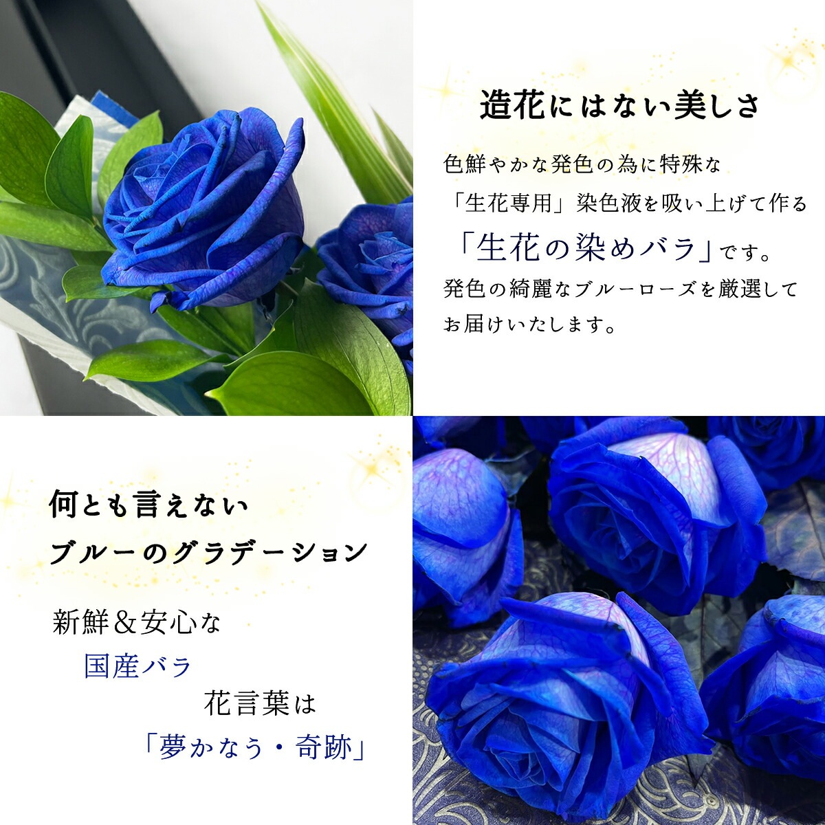 ブルーローズ 高級感のあるブラックボックス入り 青いバラ 花束 2本