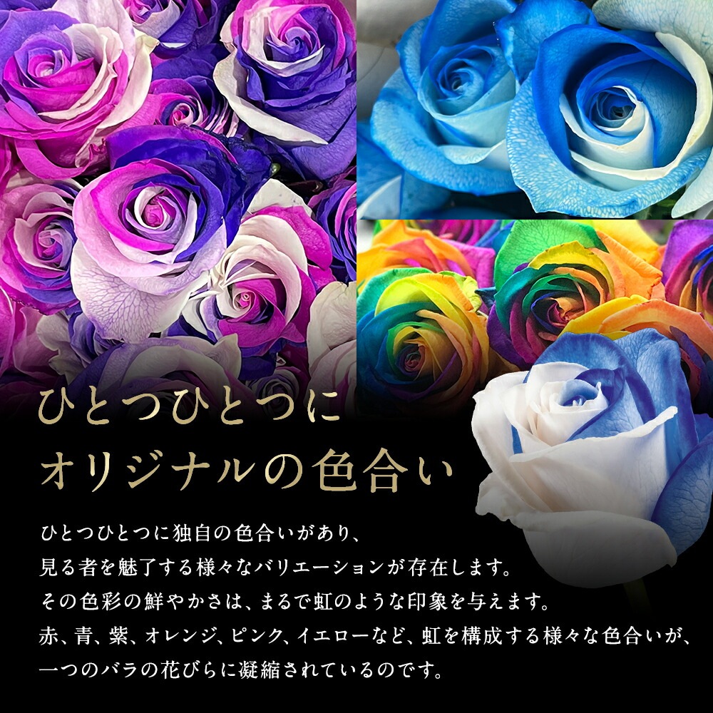 【受注再開しました】 レインボーローズ オリジナル発注 バラ 色変わり 20本から 本数指定 50本 60本 100本 108本 送料別 虹色のバラ 別注 カスタマイズ 誕生日 ギフト プレゼント プロポーズ 結婚 祝い 記念日 お祝い サプライズ 門出 虹薔薇 レインボー 薔薇 虹色