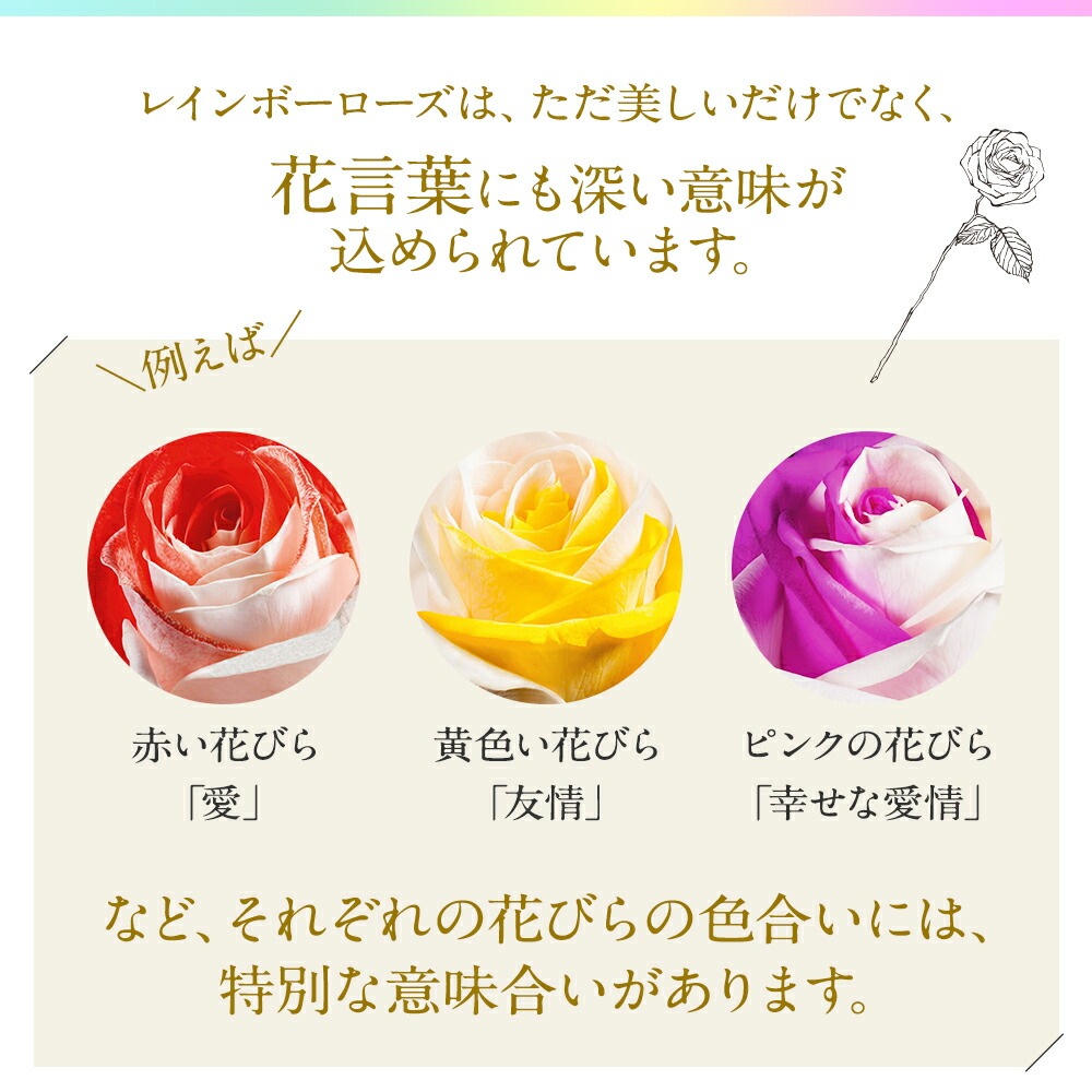 【受注再開しました】 レインボーローズ オリジナル発注 バラ 色変わり 20本から 本数指定 50本 60本 100本 108本 送料別 虹色のバラ 別注 カスタマイズ 誕生日 ギフト プレゼント プロポーズ 結婚 祝い 記念日 お祝い サプライズ 門出 虹薔薇 レインボー 薔薇 虹色