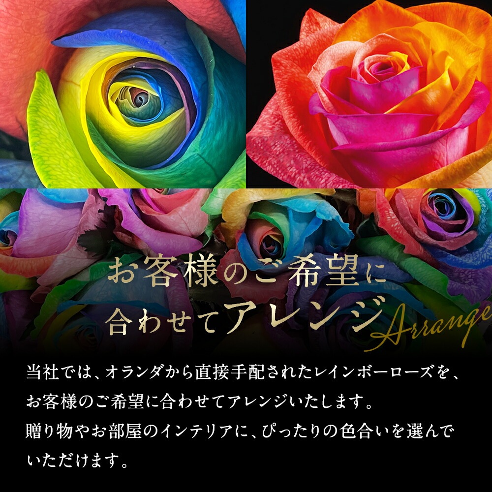 【受注再開しました】 レインボーローズ オリジナル発注 バラ 色変わり 20本から 本数指定 50本 60本 100本 108本 送料別 虹色のバラ 別注 カスタマイズ 誕生日 ギフト プレゼント プロポーズ 結婚 祝い 記念日 お祝い サプライズ 門出 虹薔薇 レインボー 薔薇 虹色