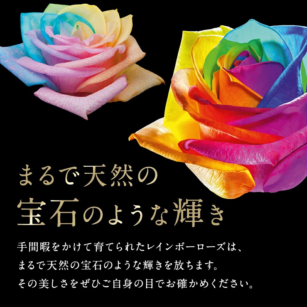 【受注再開しました】 レインボーローズ オリジナル発注 バラ 色変わり 20本から 本数指定 50本 60本 100本 108本 送料別 虹色のバラ 別注 カスタマイズ 誕生日 ギフト プレゼント プロポーズ 結婚 祝い 記念日 お祝い サプライズ 門出 虹薔薇 レインボー 薔薇 虹色
