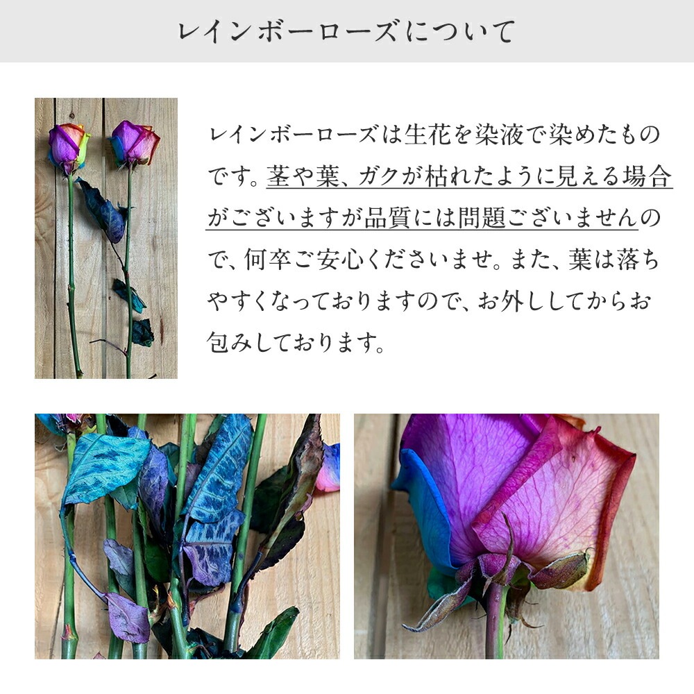 【受注再開しました】 レインボーローズ オリジナル発注 バラ 色変わり 20本から 本数指定 50本 60本 100本 108本 送料別 虹色のバラ 別注 カスタマイズ 誕生日 ギフト プレゼント プロポーズ 結婚 祝い 記念日 お祝い サプライズ 門出 虹薔薇 レインボー 薔薇 虹色