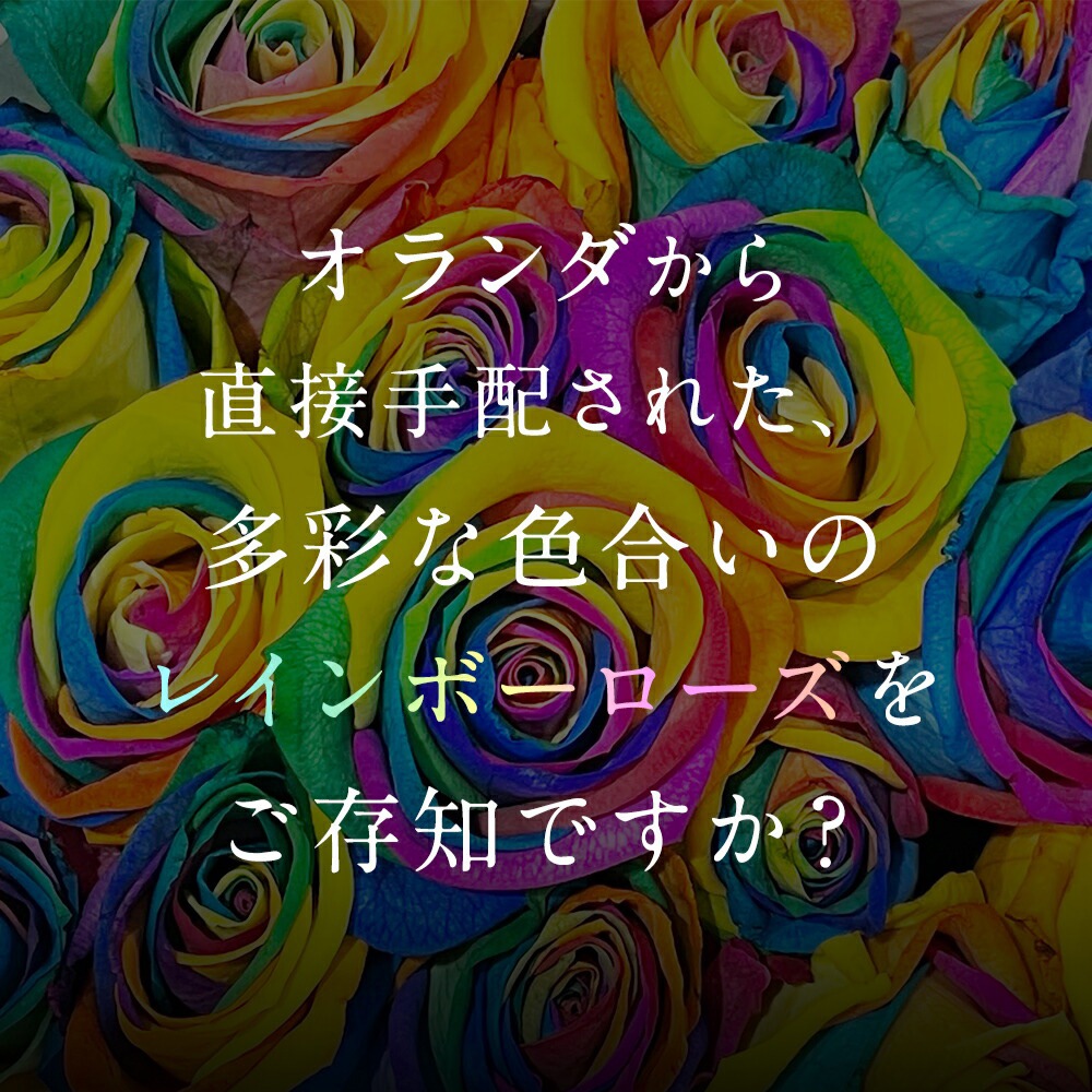 【受注再開しました】 レインボーローズ オリジナル発注 バラ 色変わり 20本から 本数指定 50本 60本 100本 108本 送料別 虹色のバラ 別注 カスタマイズ 誕生日 ギフト プレゼント プロポーズ 結婚 祝い 記念日 お祝い サプライズ 門出 虹薔薇 レインボー 薔薇 虹色