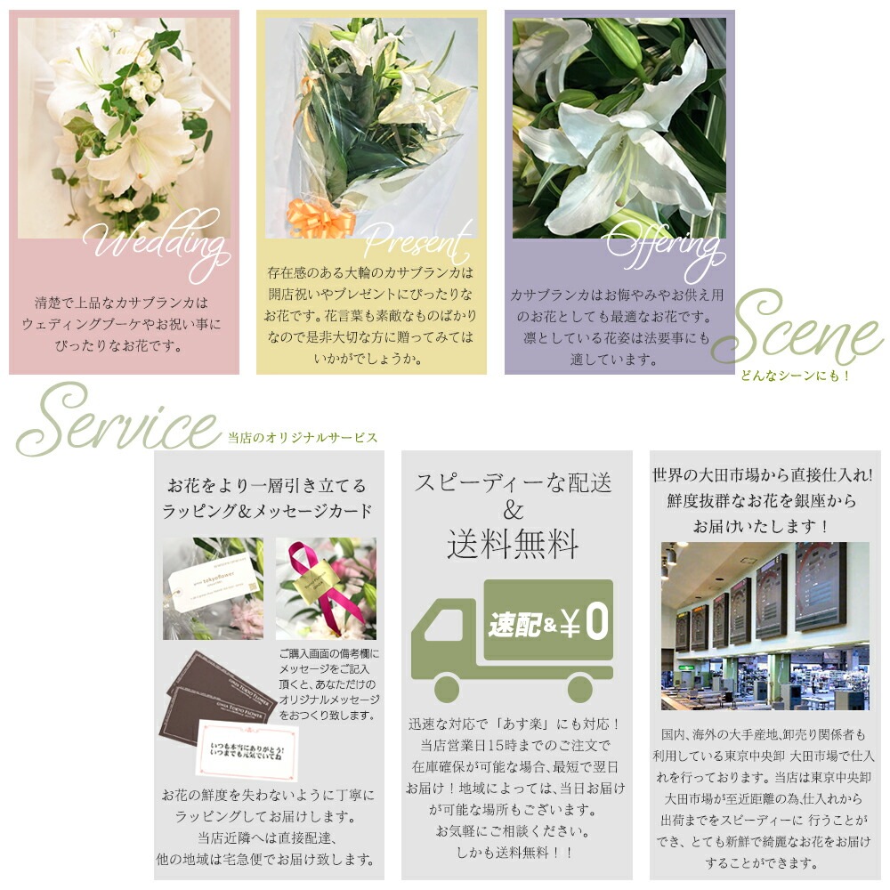 カサブランカ 花束 5本 20輪以上 生花 白ユリの女王 銀座のカサブランカ 大輪白ユリ ほぼ蕾でお届け 土日も出荷 お届け日指定 送料無料 誕生日 プレゼント ギフト 父 お祝い 贈り物