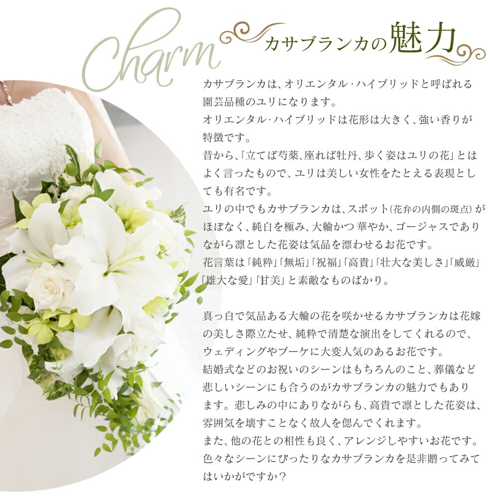 カサブランカ 花束 5本 20輪以上 生花 白ユリの女王 銀座のカサブランカ 大輪白ユリ ほぼ蕾でお届け 土日も出荷 お届け日指定 送料無料 誕生日 プレゼント ギフト 父 お祝い 贈り物