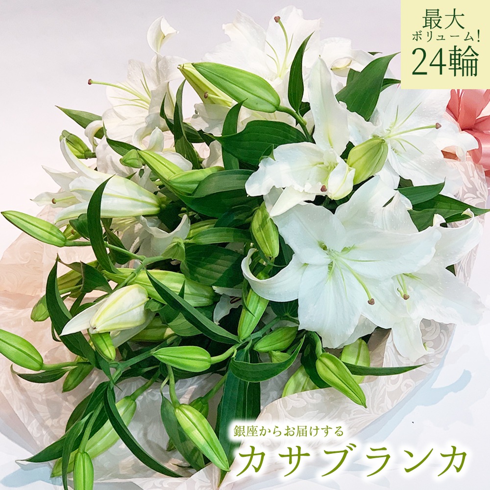 カサブランカ 花束 6本 24輪以上 生花 ユリの女王 銀座のカサブランカ 大輪白ユリ ほぼ蕾でお届け 土日も出荷 お届け日指定 送料無料 誕生日 クリスマス プレゼント ギフト お祝い 贈り物