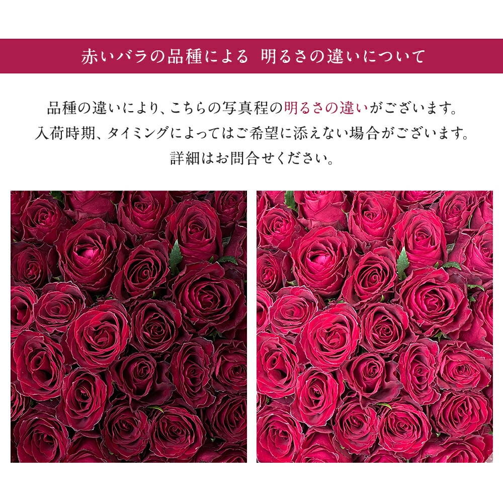 【カワイイ◎グラデーション花束!】 バラ50本の花束 色が選べる 赤黄桃 クール便で新鮮にお届け 赤 黄色 桃 ピンク 土日も出荷 プレゼント 生花 記念日 ギフト プロポーズ サプライズ 誕生日 ホワイトデー 卒業式 入学 卒業 退職 お祝い かわいい 妻 奥さん 嫁 母 ママ クール便選択可能