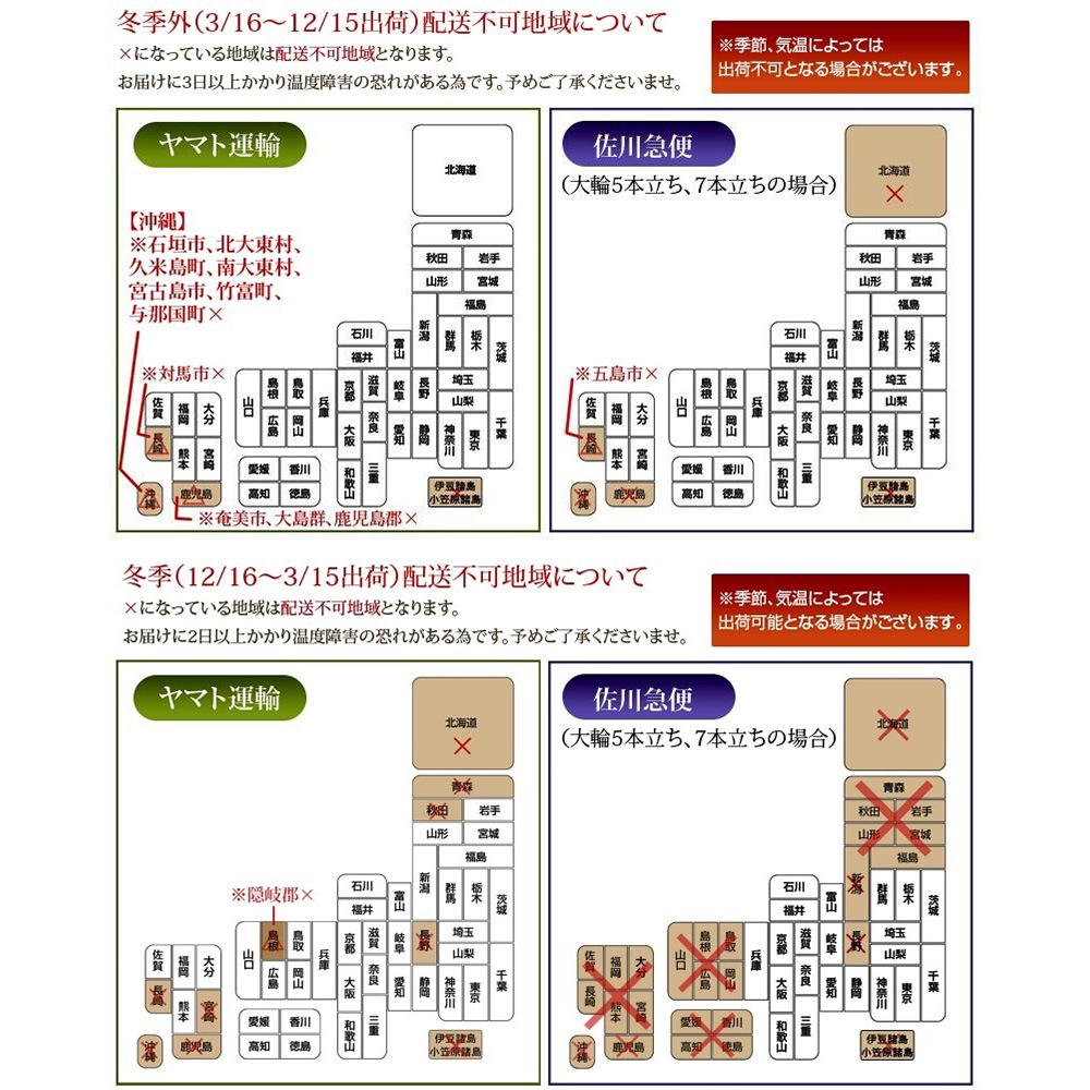 胡蝶蘭 白大輪 ２本立ち ２４輪以上(つぼみ込み)（注文日より3日後以降お届） [1WW0212] 送料込 お祝い 開店 御祝 お祝 上場祝 花 就任祝 母の日
