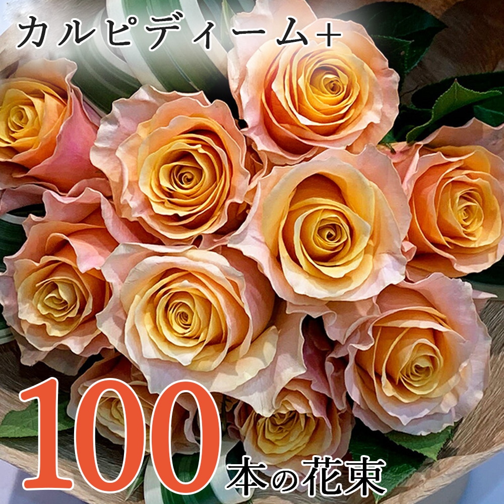 オレンジ バラ 100本の花束 カルピディーム+ 送料無料 送料込み 銀座の