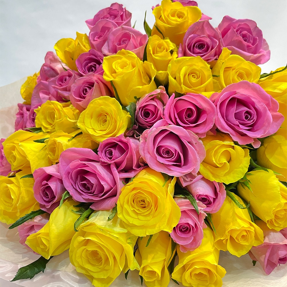 バラ50本の花束 ピンクとイエローミックス 見映えよくミックスします 土日も出荷 生花 プレゼント お祝い お中元 記念日 ギフト 税込 還暦 プロポーズ 誕生日 卒業 退職