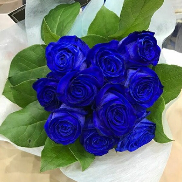 ブルーローズトーチ バラ 青 （青いバラ/青バラ）送料無料 七夕 クール便選択可能