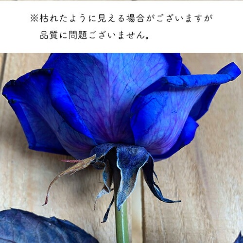 ブルーローズトーチ バラ 青 （青いバラ/青バラ）送料無料 七夕 クール便選択可能