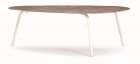 イタリア製 emu（エミュー）/TERRAMARE COFFEE TABLE-L-EM【商品名：テラマーレコーヒーテーブルLサイズ（天板：エンペラドール・ブラウン系）】アスプルンド社|エミュー社製ガー