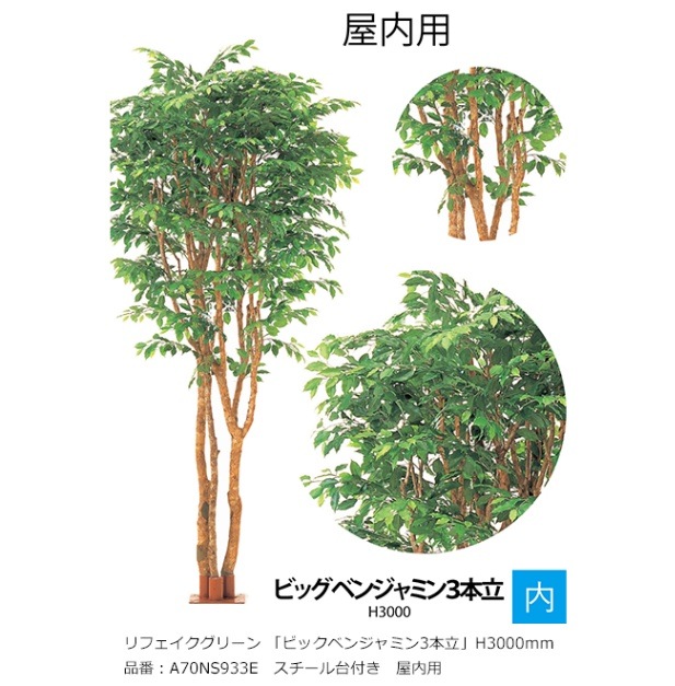 リフェイクグリーン 「ビックベンジャミン3本立」サイズ：H3000mm 品番 