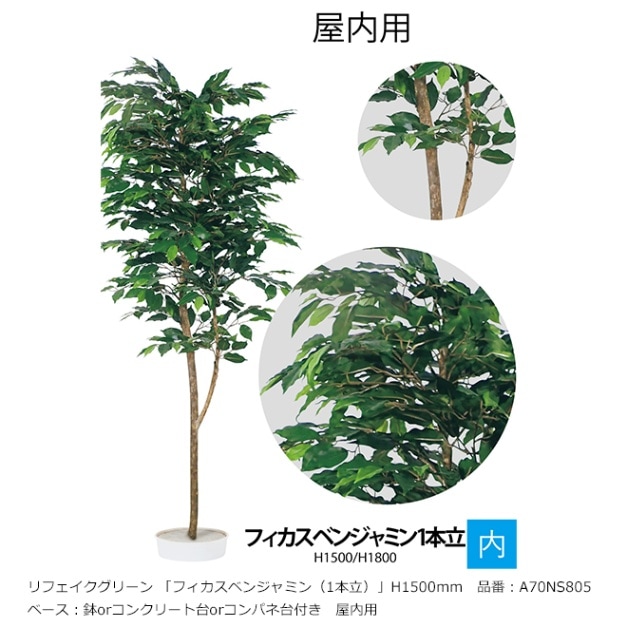 リフェイクグリーン 「フィカスベンジャミン（1本立）」H1500mm 品番