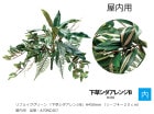 ��ե��������꡼�� �ֲ��𥷥������B�ץ�������H450mm�ʥ꡼��4〜20cm�����֡�A70NC407�������ѡ�����ڿ͹���ʪ �������٥�ҡ�