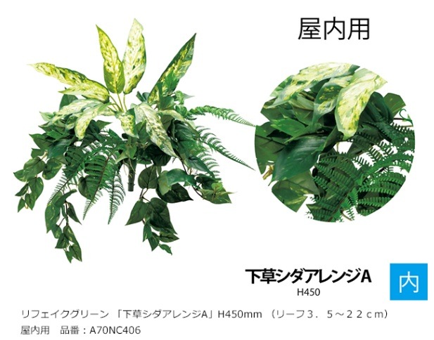 あんてぃ 草原のグリーン6枚 可愛いグリーン柄16枚 合計22枚 000000004728_X8CKnE6.jpg