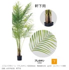 ��ե��������꡼�� �֥��쥫�䥷��H2000mm������ȭH150����150�����󥯥꡼�Ƚ�Ŷ�����֡�A70TN528�������ѡڿ�ʪ���͹���ʪ���͹����ڡ����쥫�䥷���������٥�ҡ�