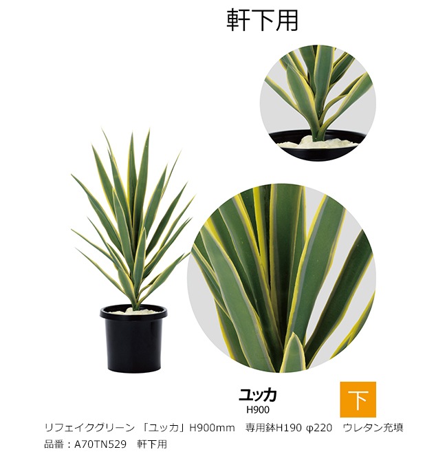 ユッカ アロイフォリア H80cm 【公式通販】