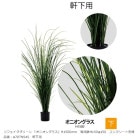 ��ե��������꡼�� �֥��˥��󥰥饹��H1500mm������ȭH150����150�����󥯥꡼�Ƚ�Ŷ�����֡�A70TN545�������ѡڿ�ʪ���͹���ʪ���͹����ڡ����˥��󥰥饹���������٥�ҡ�