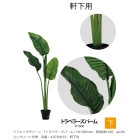 ��ե��������꡼�� �֥ȥ�٥顼���ѡ����H1500mm������ȭH140����180�����󥯥꡼�Ƚ�Ŷ�����֡�A70TN555�������ѡڿ�ʪ���͹���ʪ���͹����ڡ��ȥ�٥顼���ѡ��ࡢ�������٥�ҡ�