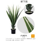 ��ե��������꡼�� �֥ѥ���ʥ���H1100mm������ȭH190����220�����쥿��Ŷ�����֡�A70TN571�������ѡڿ�ʪ���͹���ʪ���͹����ڡ��ѥ���ʥ����������٥�ҡ�