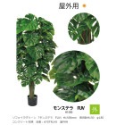 ե꡼ ֥󥹥ƥ顡FUV H1500mmȭH150180󥯥꡼ȽŶ֡A70TR145ѡڿʪ͹ʪ͹ڡ󥹥ƥ顢٥ҡ