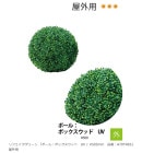 ե꡼ ֥ܡݥ롧ܥååɡUVH500mm֡A70TR651ѡڿʪ͹ʪ͹ڡܥååɡ٥ҡ