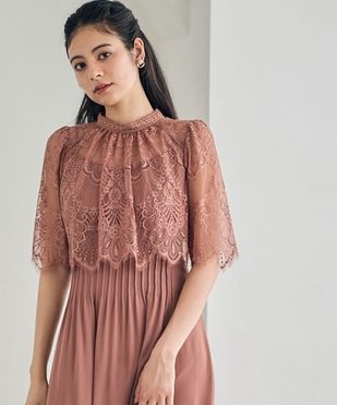 ץϥͥå졼Ⱦµܥ֥饦