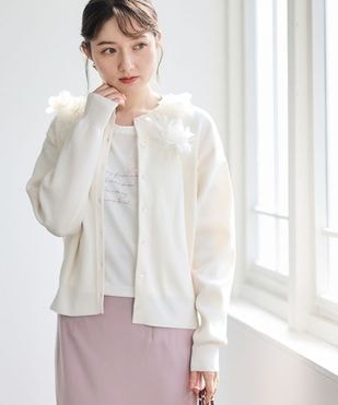 �ե�������ե��롼�˥åȥ����ǥ�����