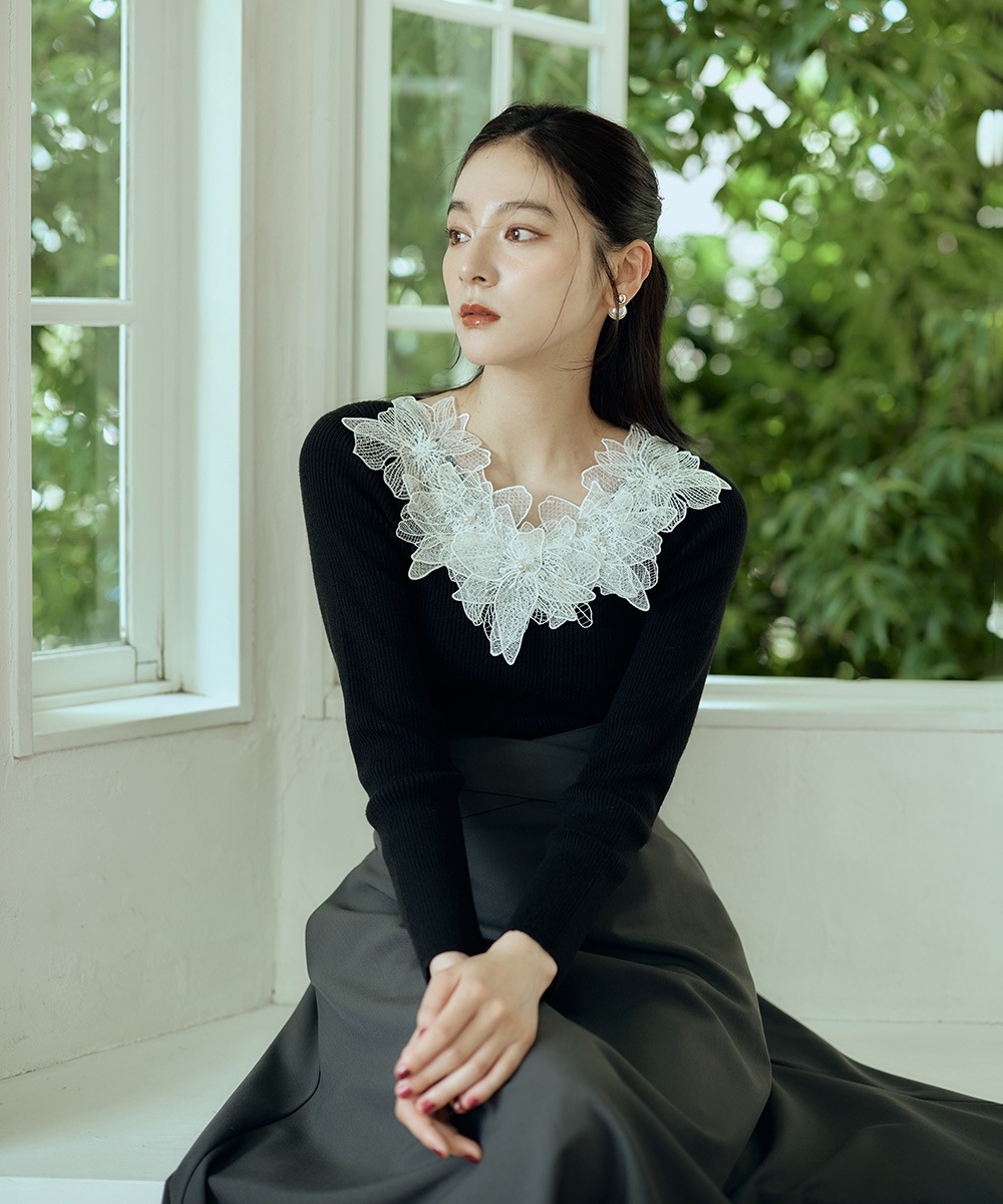 �졼���������V�ͥå���֥˥åȥץ륪���С���10/7ȯ��ͽ���