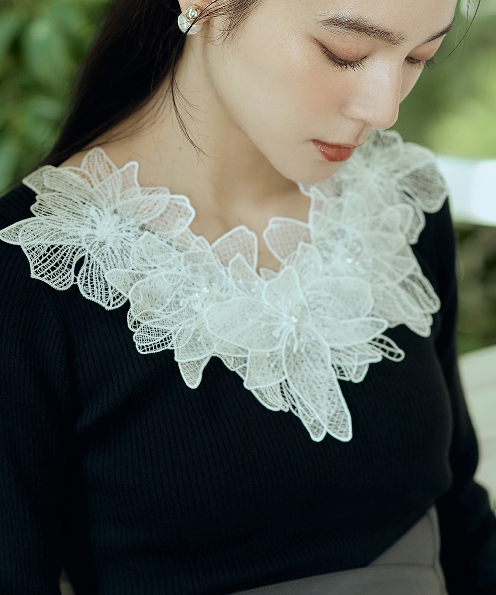�졼���������V�ͥå���֥˥åȥץ륪���С���10/7ȯ��ͽ���
