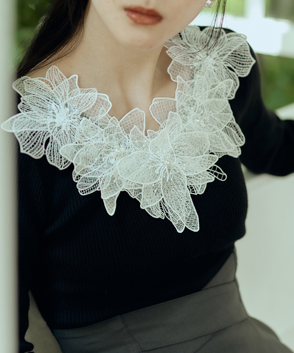 �졼���������V�ͥå���֥˥åȥץ륪���С���10/7ȯ��ͽ���