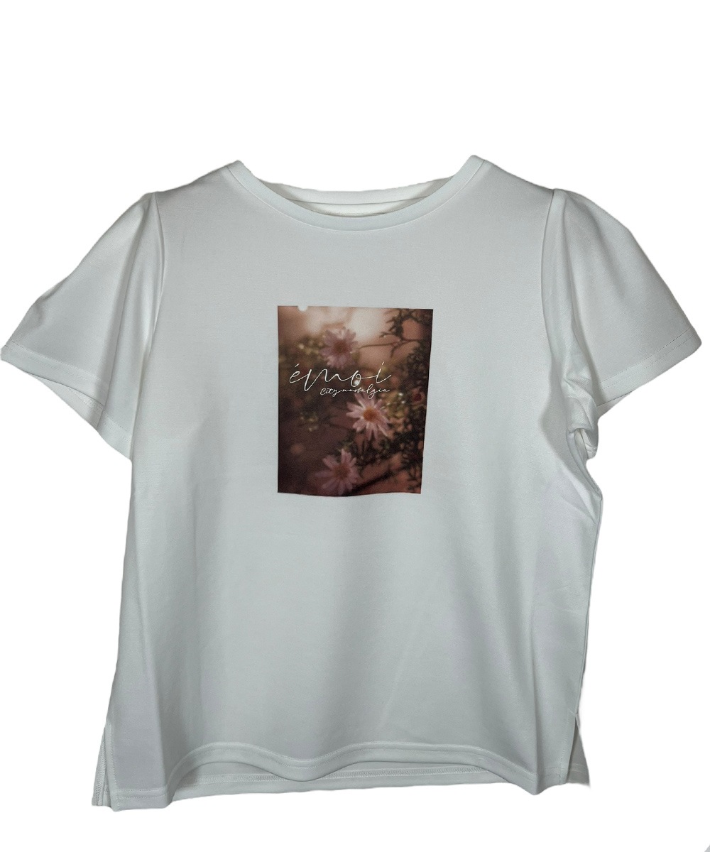 ��SALE�ۥե��ȥ���ѥ��ȣԥ����