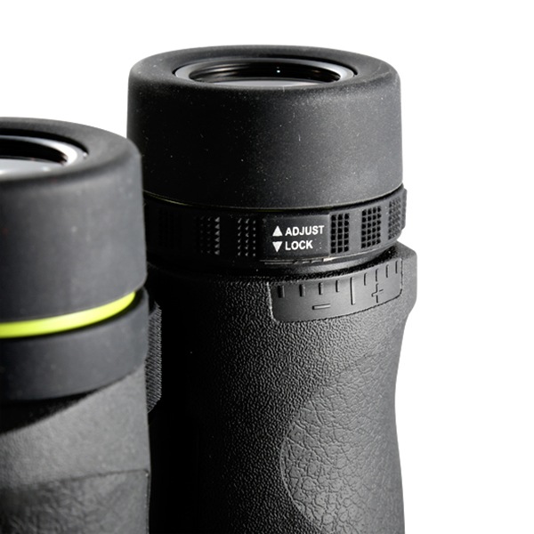 エンデバー ED II 1042 双眼鏡 Endeavor ED II 1042 Binoculars