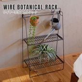 磻䡼ܥ˥å WIRE BOTANICAL RACK Ǽê ê  ʪ Ŵ    ץ 奢  COLLEND 