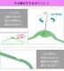 Ϣ�륹�ȥ��󥰥ϥ󥬡� 10���� ���٤�7��