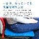 �����륯�å���� ���륯�å���� M������ DX�쥮��顼 ���� ���륷���� ���׶��� ������ �����к� ��ȿȯ �ǥ������ �ɥ饤�֡��� ���ե��� �°ػ� ��� �ϥ˥��๽¤ ̵����