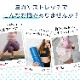 �襬������  �ۥåȥ襬 ���٤�7�� ���ߤ� ��Ǽ�������դ� �ۿ� ®�� �襬�饰 ���ȥ�å��ޥå� ������ ���٤�ɤ� �襬�ޥå� �� �ޡ��֥�