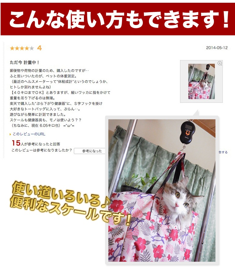 <br>����ǥڥåȤη��̤⡪��������������Хå��Υ��åȢ�