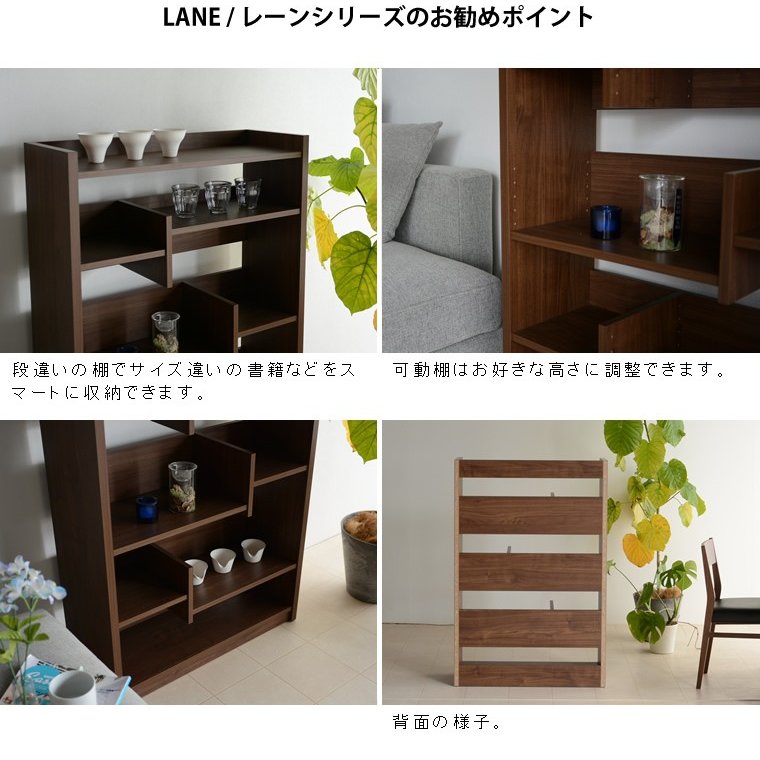  å  ê å ê ٤2 Ǽ 顼ܥå CDå  Ǽܥå ê Ǽê DVDå ê Ǽȶ 80 ե꡼å 80L  shelf 졼 LANE