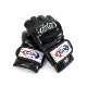 Fairtex ƥåȡХåȡ